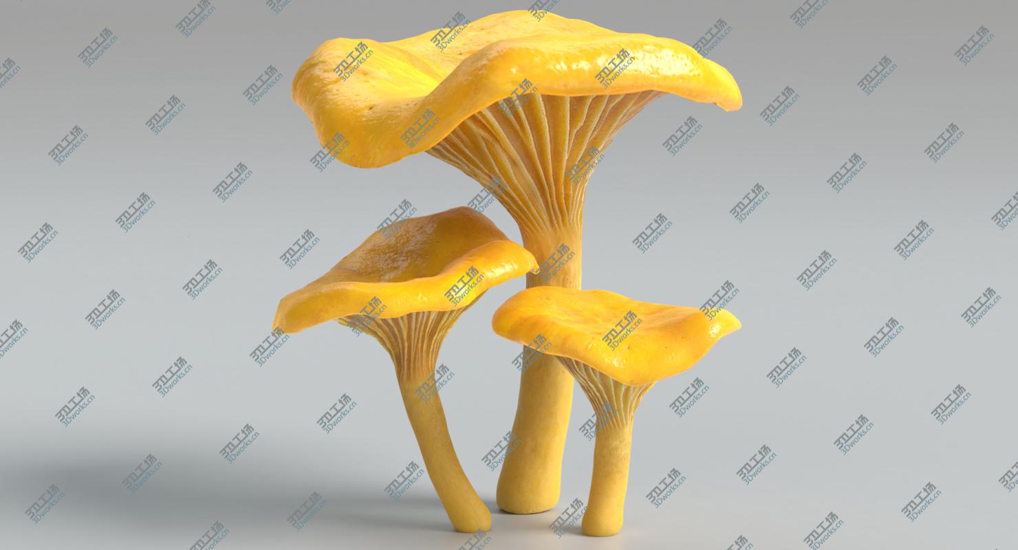 images/goods_img/202104091/3D Mushroom Collection/5.jpg